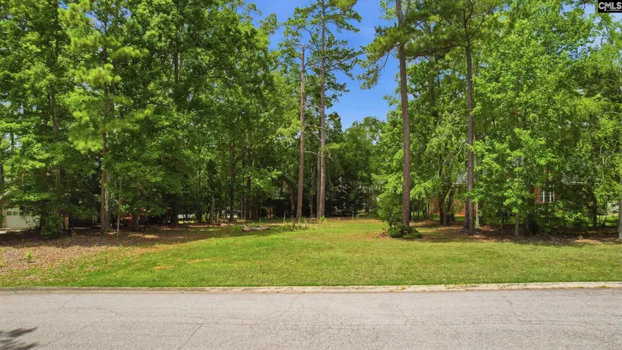 105 Oak Trace Court, Chapin, SC 29036 - #2