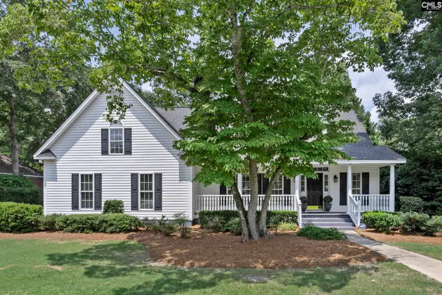 353 Vista Springs Circle, Lexington, SC 29072 - #2