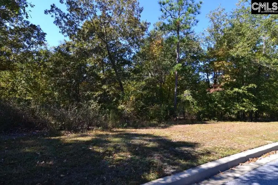 121 Montgomery Ridge Lane #4, Blythewood, SC 29016 - #2