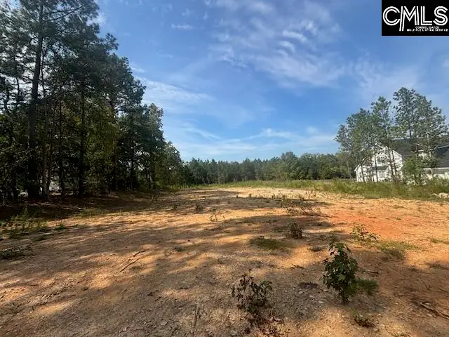 1615 Loner Road, Blythewood, SC 29016 - #1