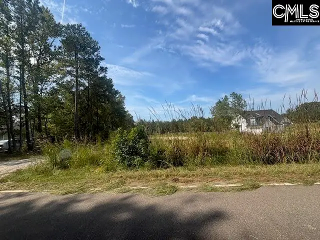 1615 Loner Road, Blythewood, SC 29016 - #2