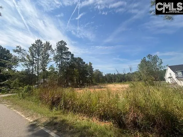 1615 Loner Road, Blythewood, SC 29016 - #3