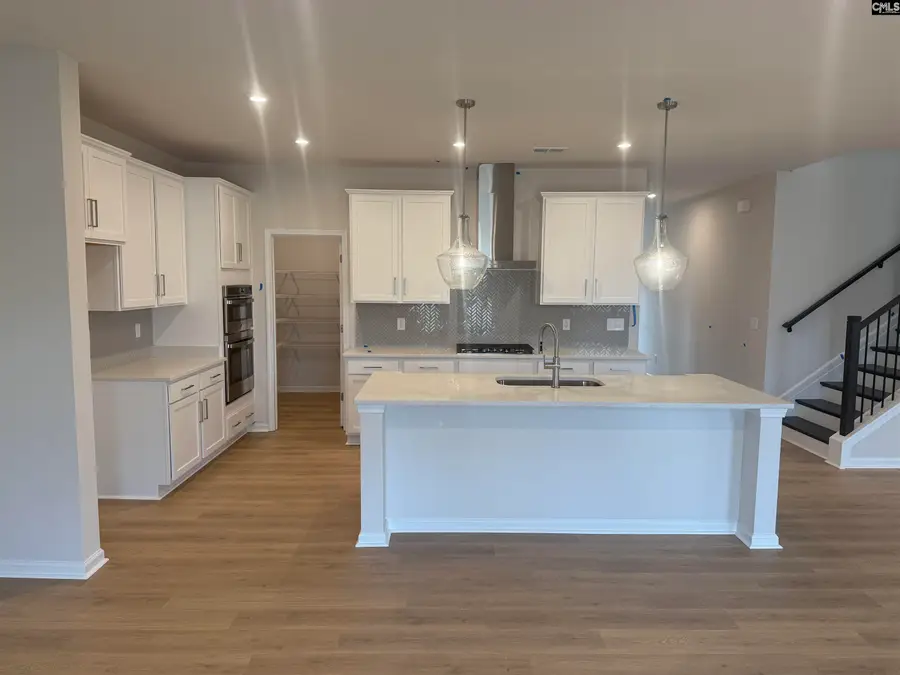 341 Grannys Cut Way, Chapin, SC 29036 - #3