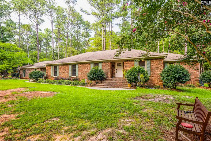 121 Deer Tract Drive, Little Mountain, SC 29075 - #2