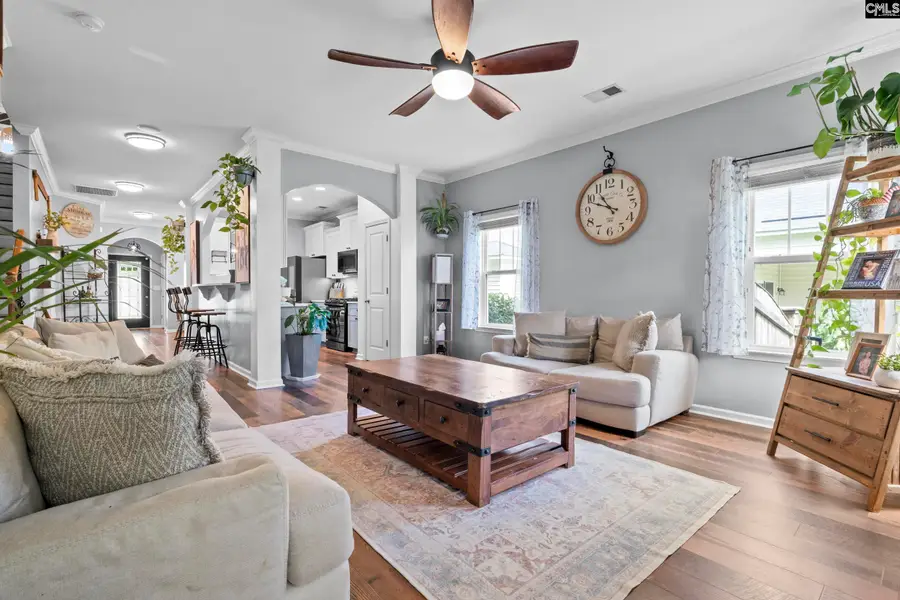 163 Cordage Drive, Chapin, SC 29036 - #2