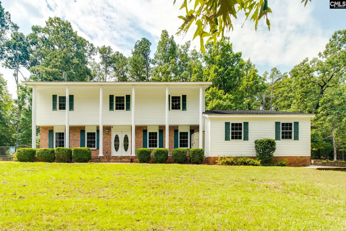 445 Lakemont Drive, Chapin, SC 29036 - #1