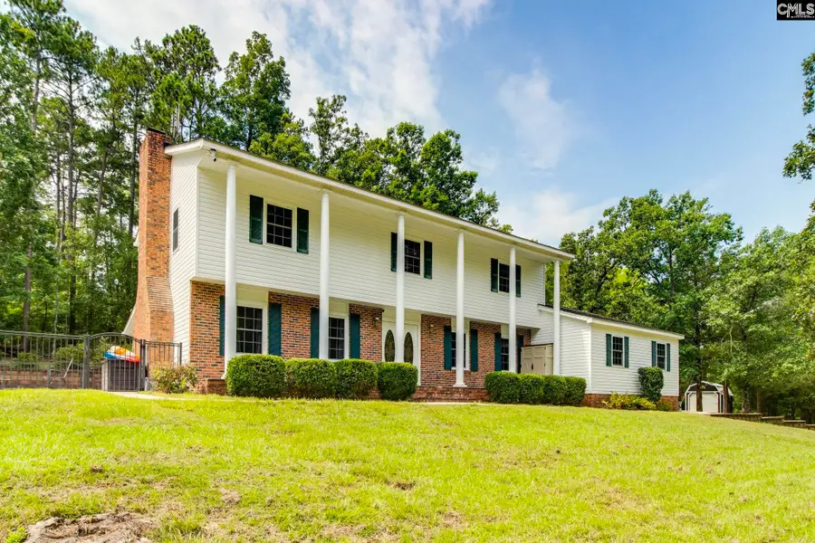 445 Lakemont Drive, Chapin, SC 29036 - #2