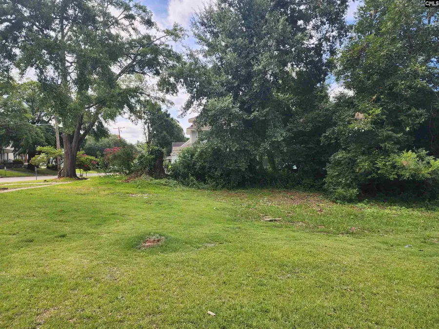 1731 Wayne Street, Columbia, SC 29201 - #2