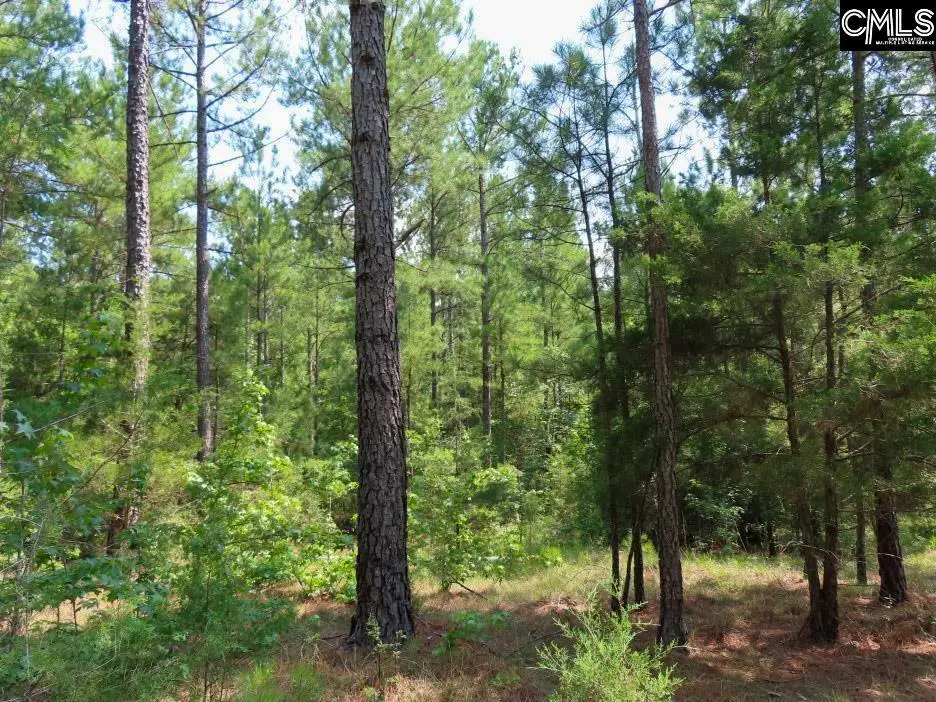 0 Landis Road, Winnsboro, SC 29180 - #1