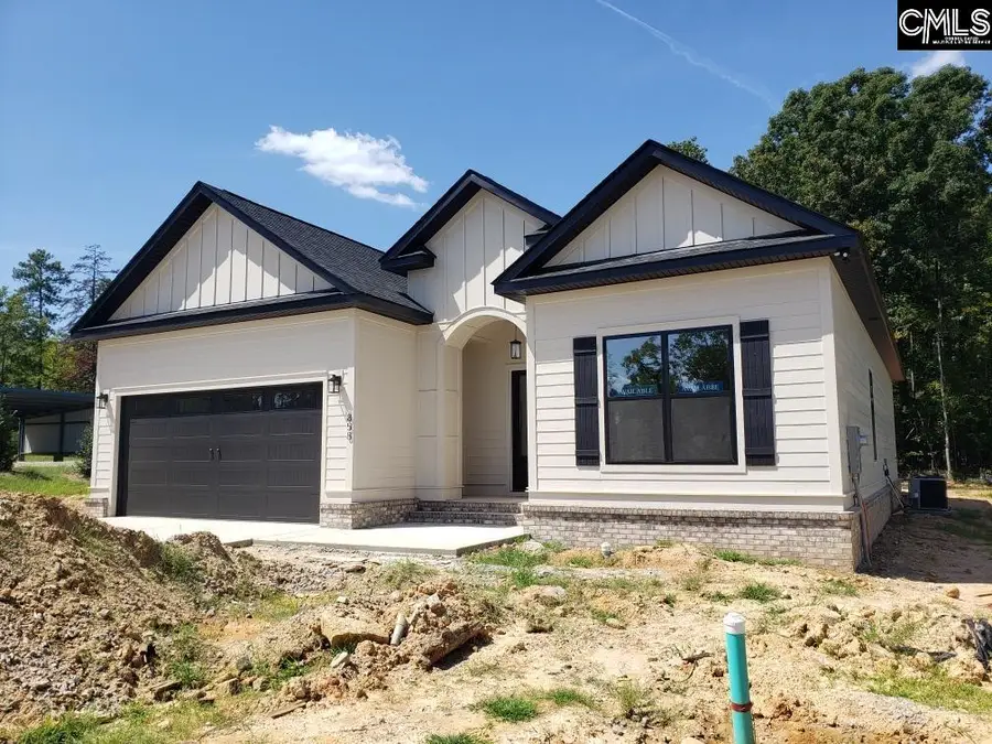 858 Elms Spinney Lane, Chapin, SC 29036 - #2