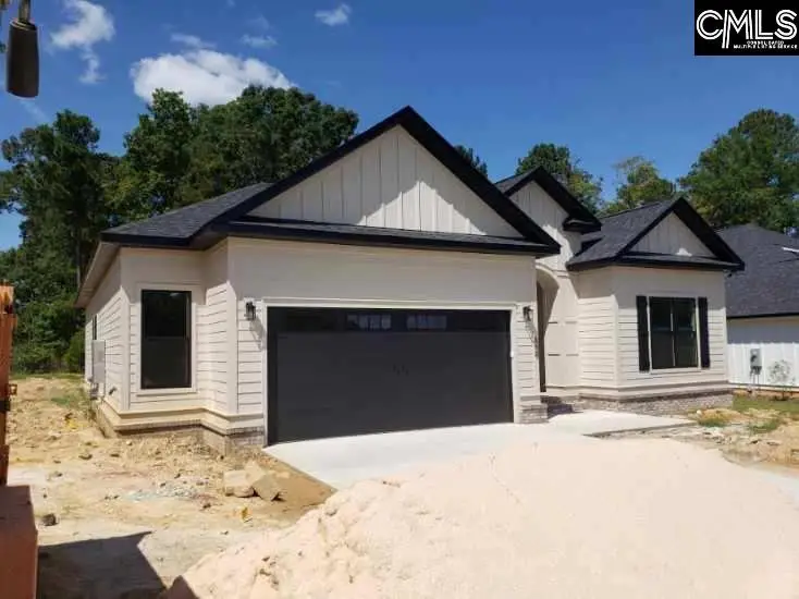 858 Elms Spinney Lane, Chapin, SC 29036 - #3