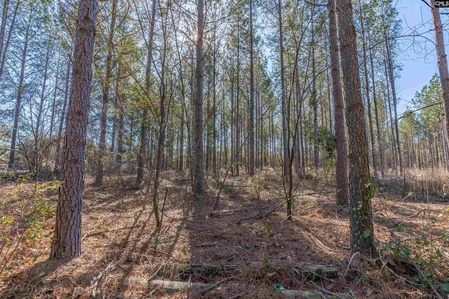 Lot 3 Fairview Road #008200-07-010, Batesburg, SC 29006 - #3