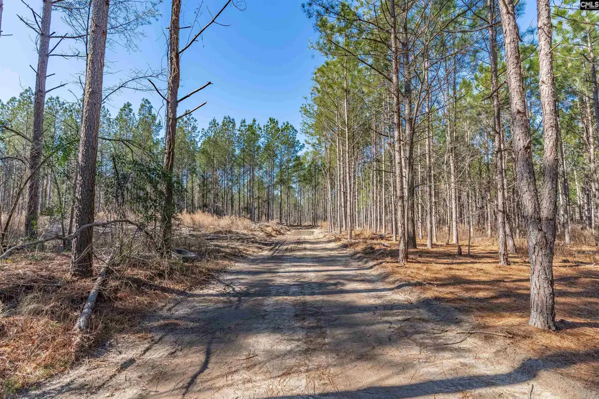 Lot #4 Fairview Road #008200-07-010, Batesburg, SC 29006 - #1