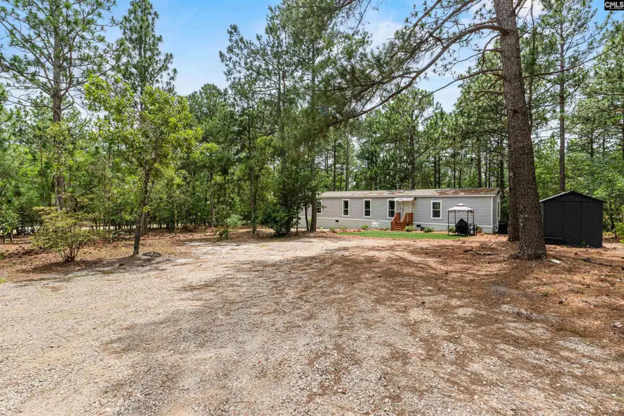 219 Chandler Drive, Gilbert, SC 29054 - #3