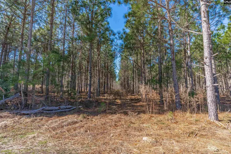 Lot #7 Fairview Road #008200-07-010, Batesburg, SC 29006 - #2