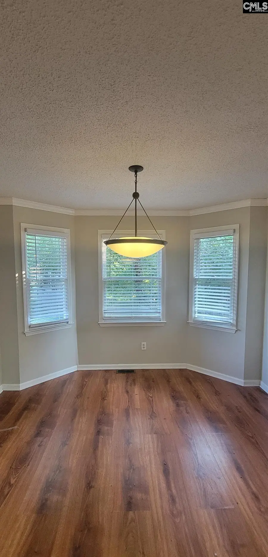 381 Pin Oak Drive, Lexington, SC 29073 - #3