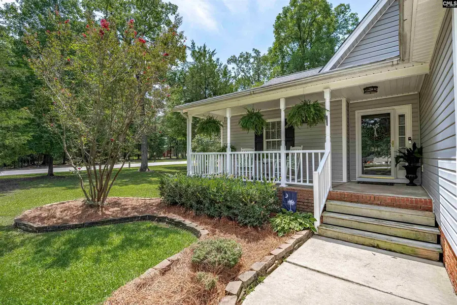 209 Alice Drive, Chapin, SC 29036 - #3