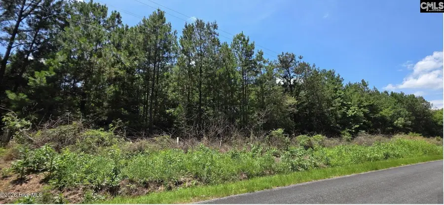 105 Acres Chestnut Ridge Road, McCormick, SC 29835 - #3