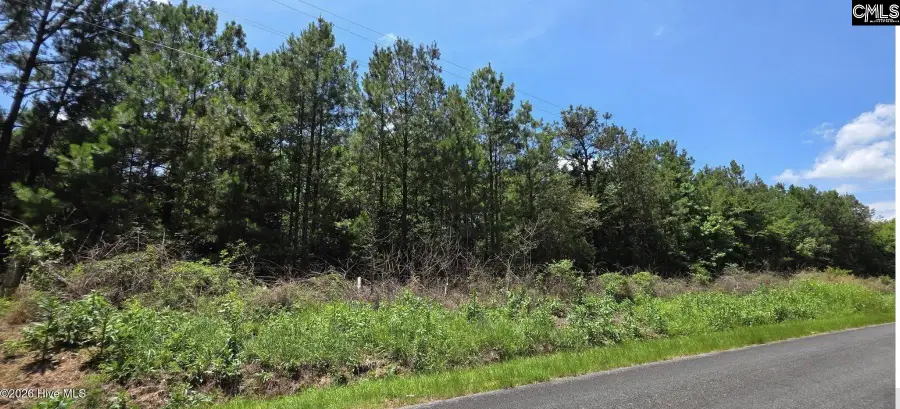 5 Acres Chestnut Ridge Road, McCormick, SC 29835 - #2