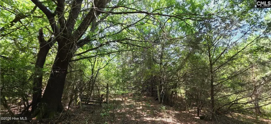 5 Acres Chestnut Ridge Road, McCormick, SC 29835 - #3
