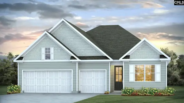 225 Sunny Stream Drive, Chapin, SC 29036