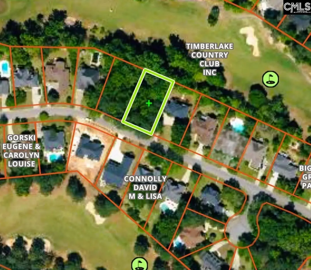 333 Oxenbridge Way, Chapin, SC 29036 - #1