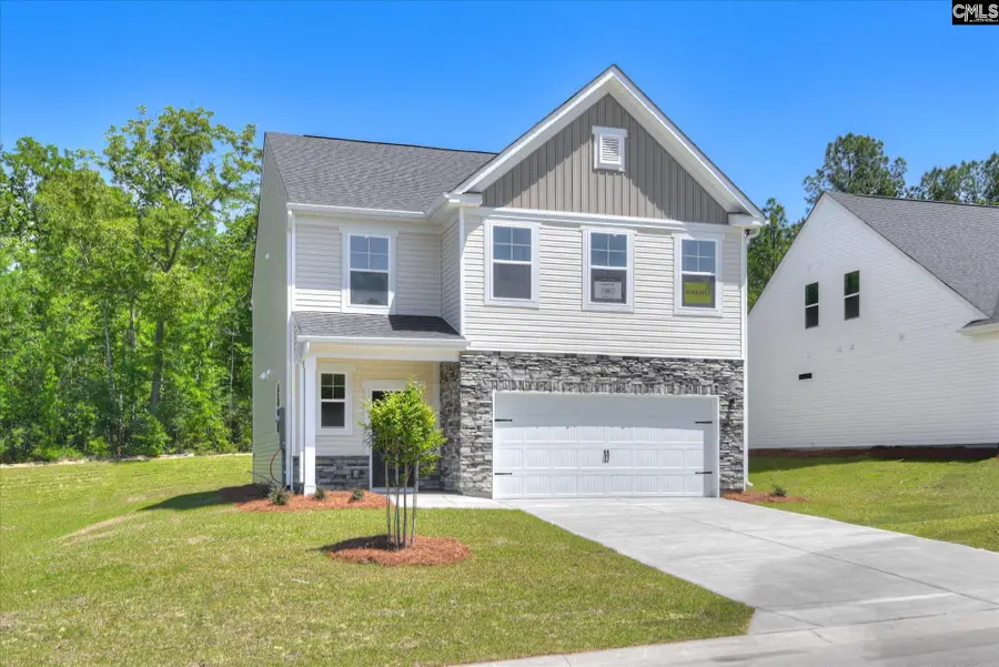 562 Old Charleston Road, Pelion, SC 29123 - #3