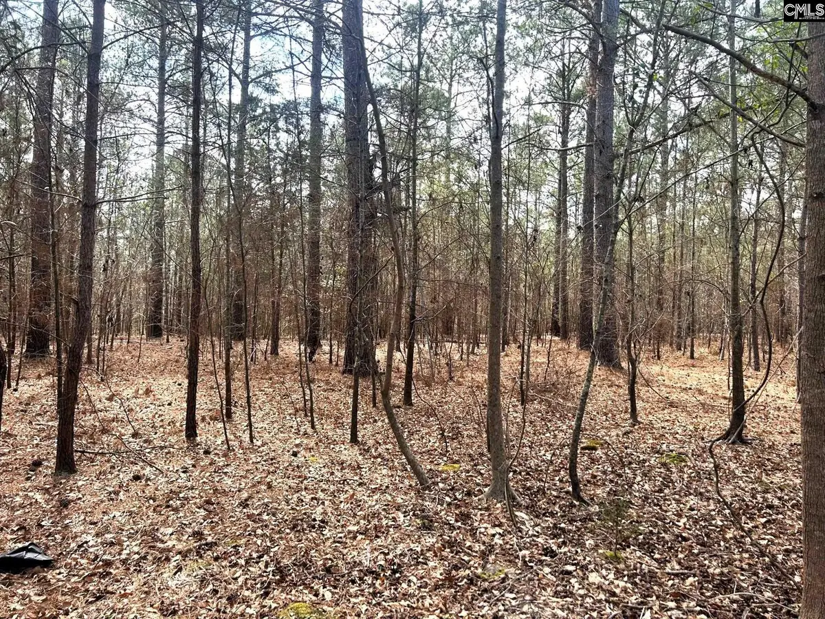 TBD B Old Dutch Road, Little Mountain, SC 29075 - #1