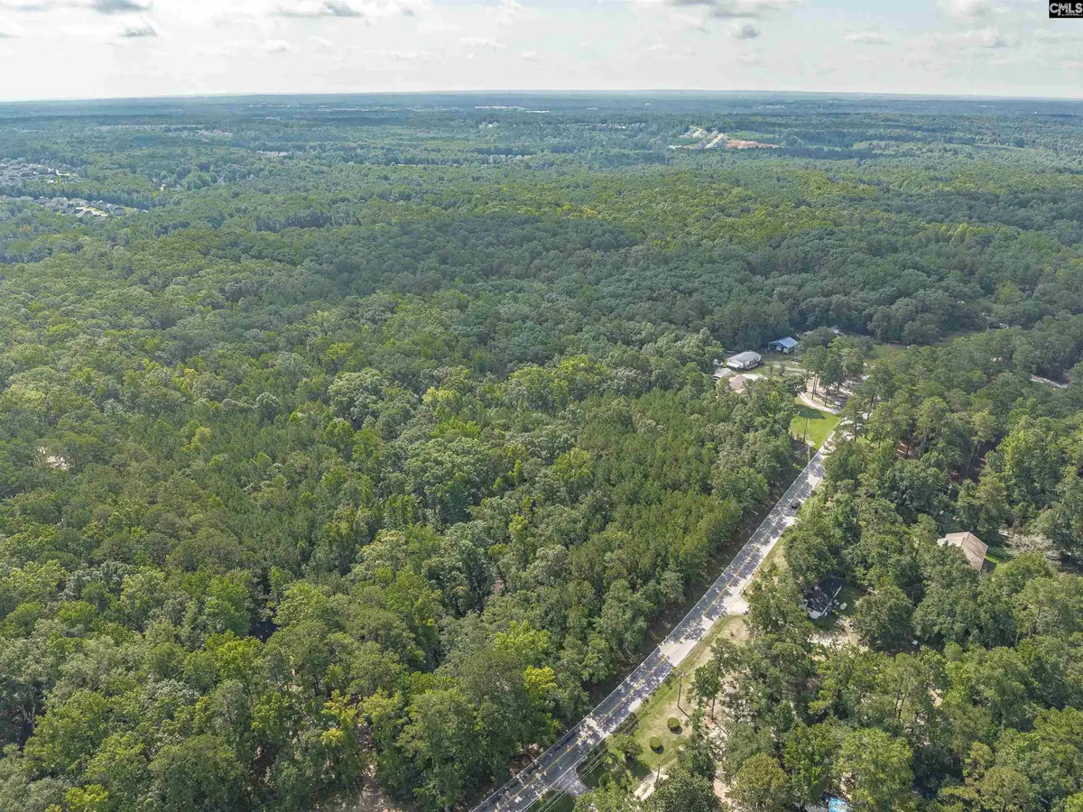 Fulmer Road, Blythewood, SC 29016 - #1