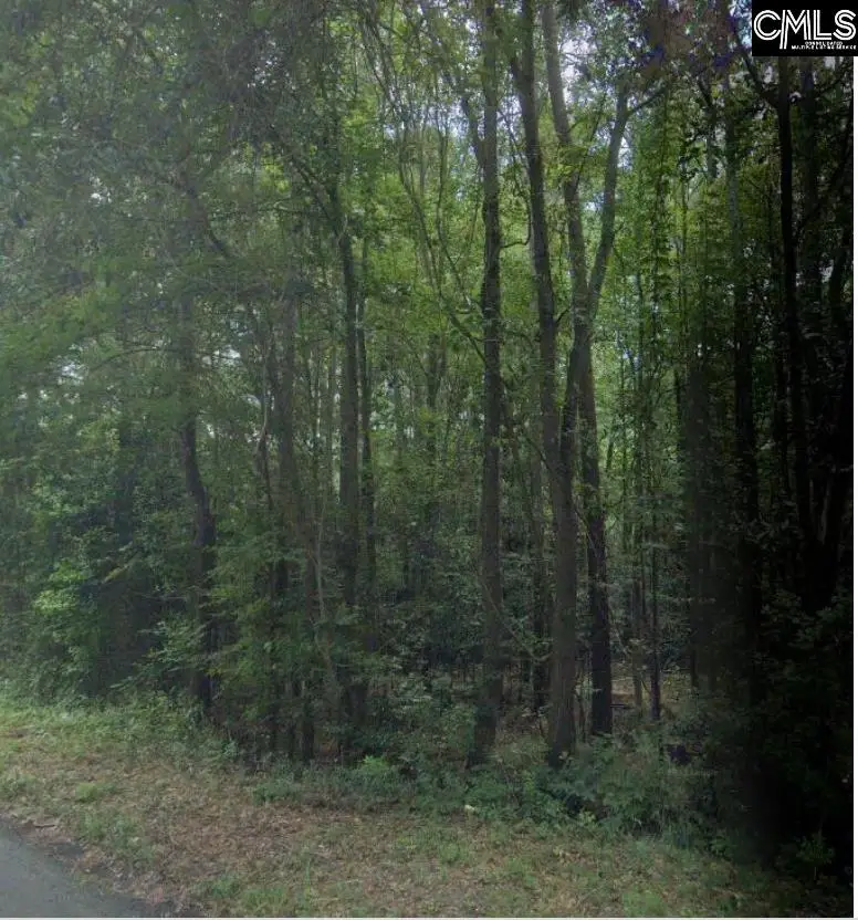 6 Acres Woodberry Lane, North Augusta, SC 29841 - #1