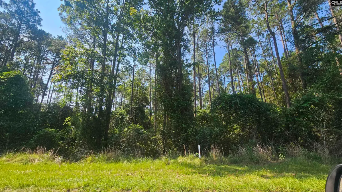 TBD Haven, Batesburg, SC 29006 - #1