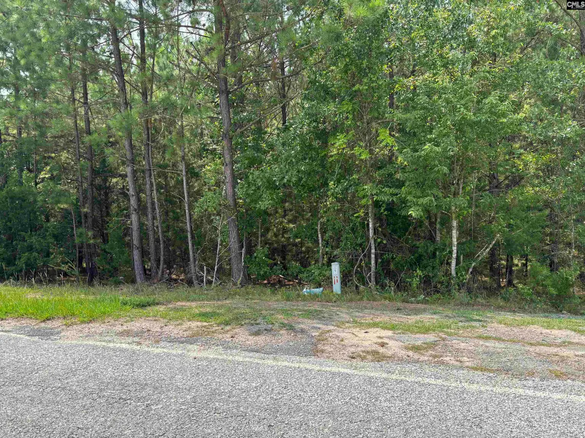2112 Chappelltown Road, Winnsboro, SC 29180 - #1
