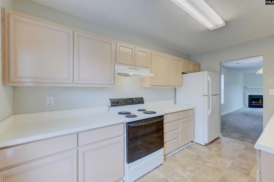 209 Hounds Court, Columbia, SC 29223 - #3