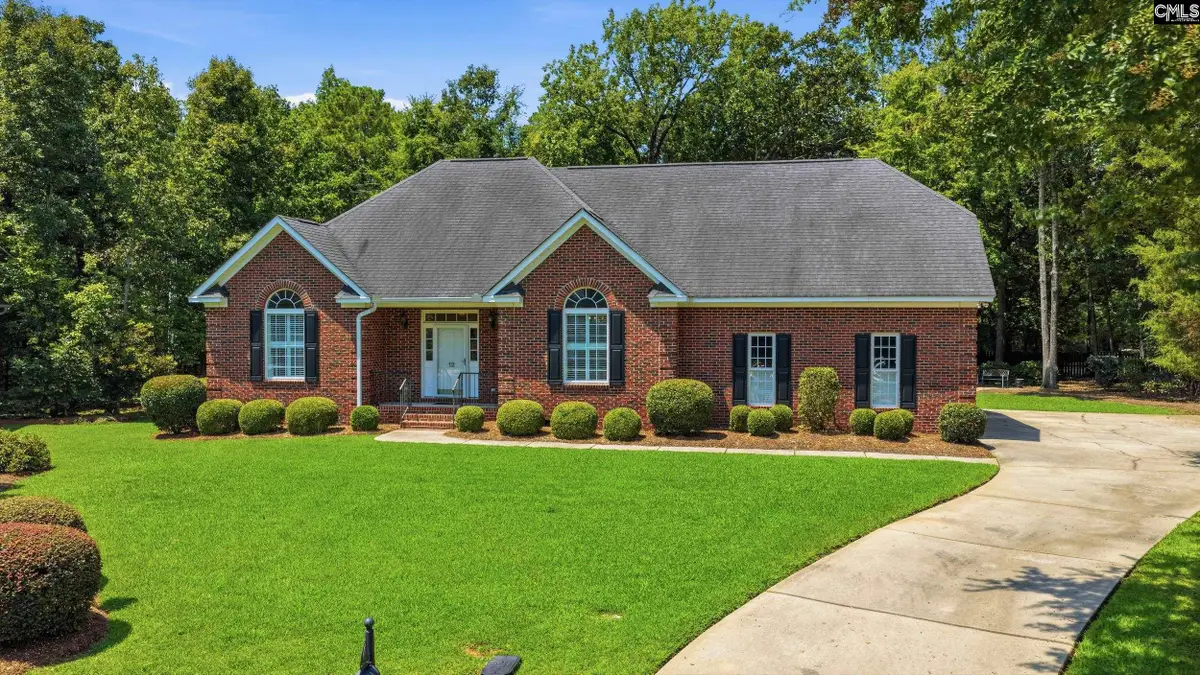 12 Baywood Court, Chapin, SC 29036 - #1