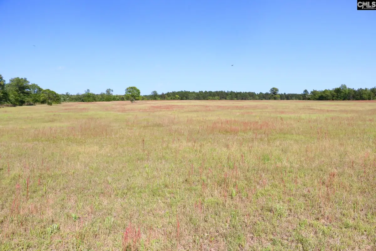 TBD Browns Pond Road, Wagener, SC 29164 - #1