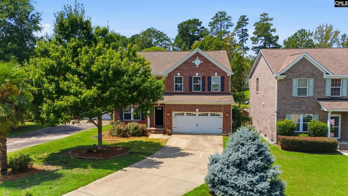 124 Palm Street, Chapin, SC 29036 - #1