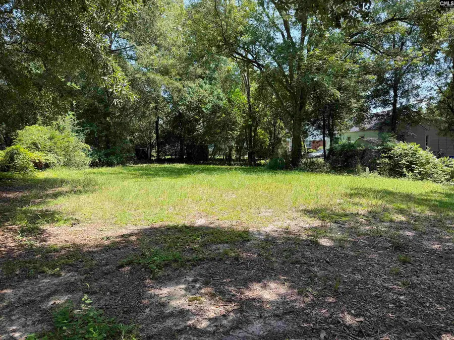1304 Highland Avenue, Camden, SC 29020 - #2