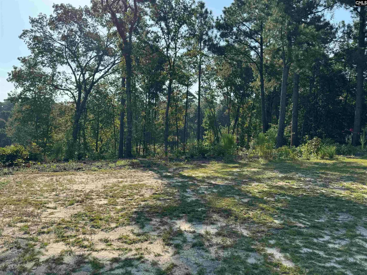 208 Crickentree Drive, Blythewood, SC 29016 - #1