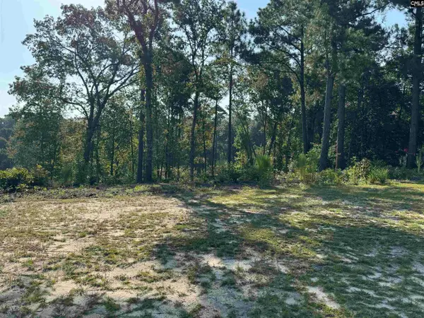 208 Crickentree Dr, Blythewood, SC 29016