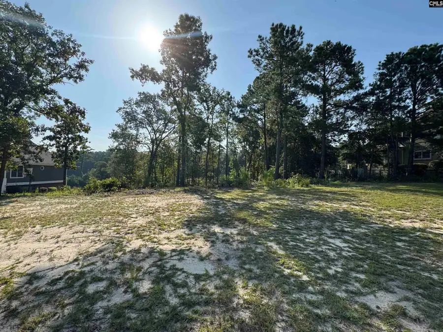 208 Crickentree Drive, Blythewood, SC 29016 - #2