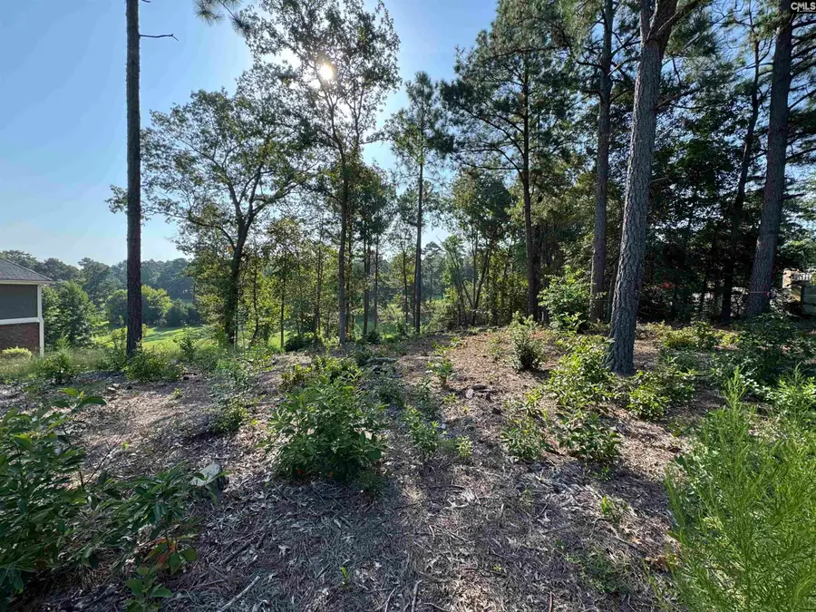208 Crickentree Drive, Blythewood, SC 29016 - #3