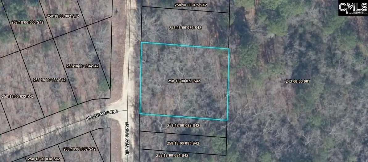 538 Hillsdale Drive, Camden, SC 29020 - #1