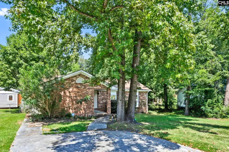 1219 Chadford Road, Irmo, SC 29036 - #3