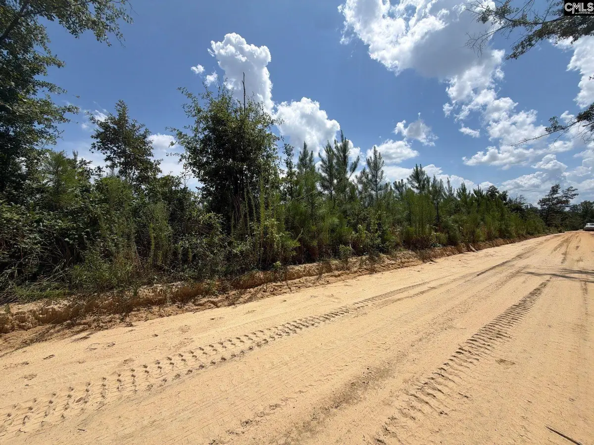 BTF 3 Bradley Trail, Mount Pisgah, SC 29067 - #1