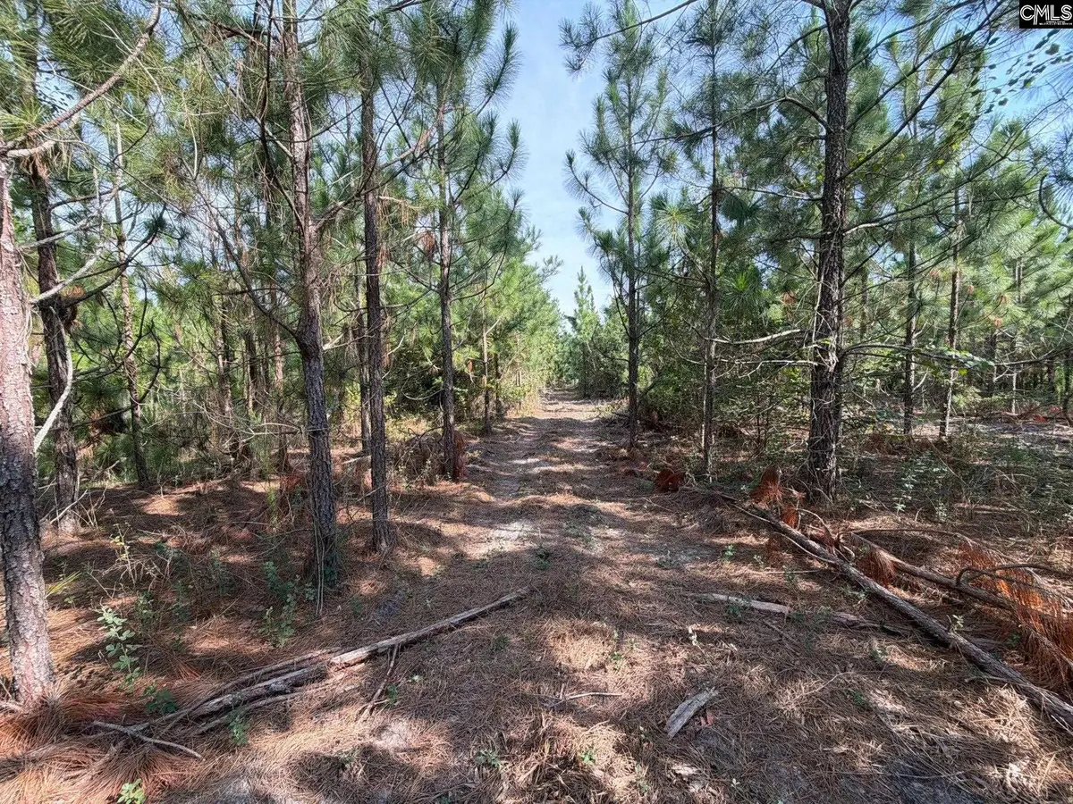 BTF 7 Bradley Trail, Mount Pisgah, SC 29067 - #1
