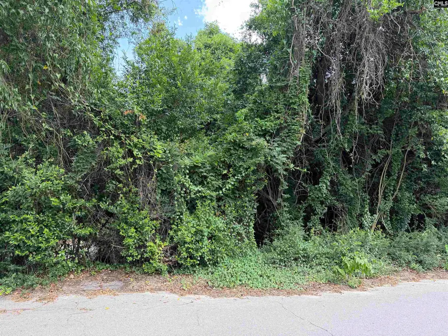 1512 Fanning Street, Forest Acres, SC 29204 - #3
