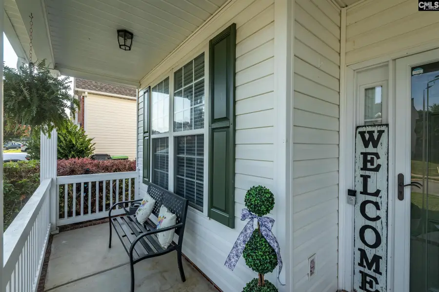 325 Buckthorne Drive, Lexington, SC 29072 - #3