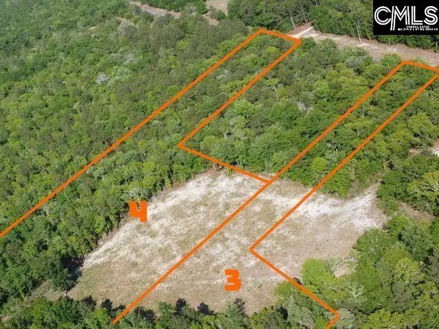 03 Browns Pond Road, Wagener, SC 29164 - #2