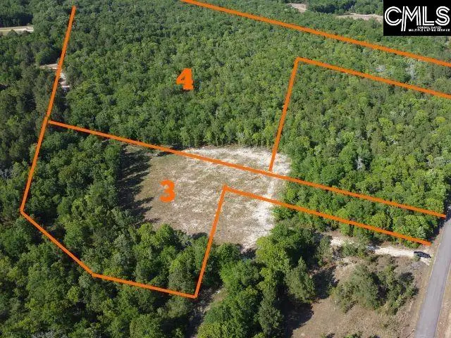 04 Browns Pond Road, Wagener, SC 29164 - #1