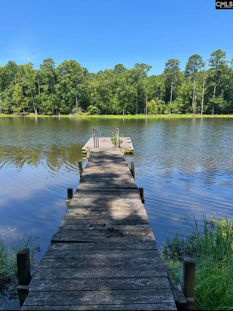 467 Collum Landing Road, Batesburg, SC 29006 - #3